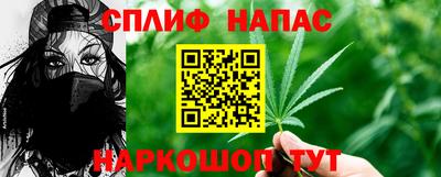 прущие грибы Азнакаево