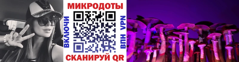 Галлюциногенные грибы Psilocybine cubensis  продажа наркотиков  Апатиты 