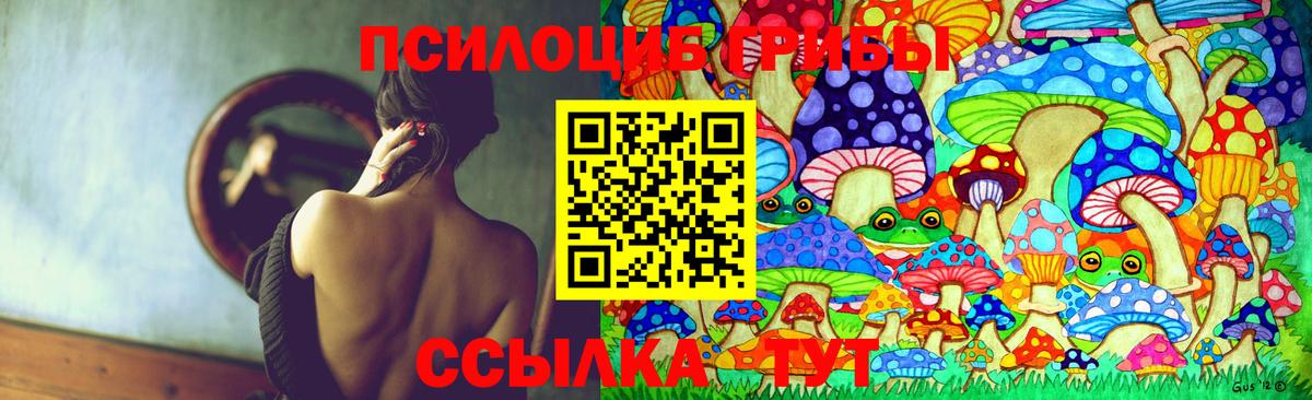 Галлюциногенные грибы GOLDEN TEACHER  Вход с VPN  Апатиты 
