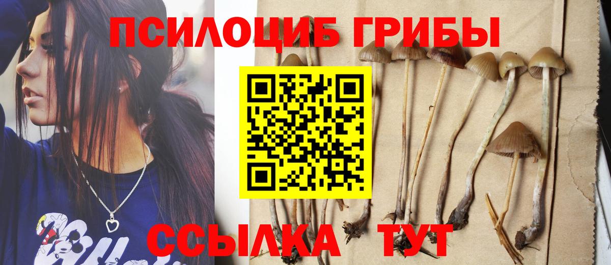 Галлюциногенные грибы Cubensis Апатиты