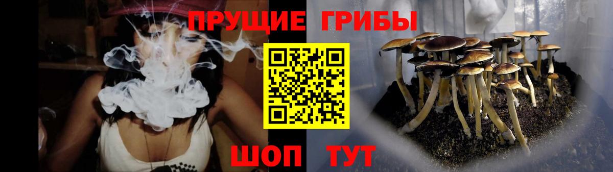 Галлюциногенные грибы Psilocybine cubensis Апатиты