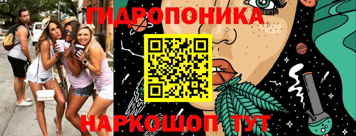 Канабис Amnesia Апатиты